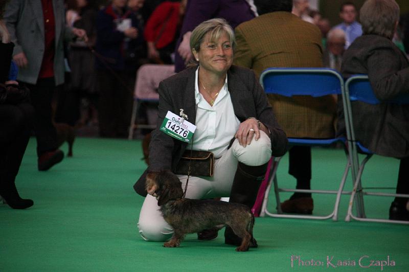 Crufts2011_2 649.jpg